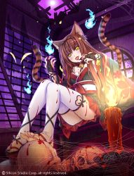 Rule 34 | 1girl, @hina, animal ears, barefoot, bell, black nails, blood, blood on clothes, blood on face, blood on hands, blue fire, blush, brown hair, candle, cat ears, cat tail, character request, choker, commentary request, company name, english text, fang, feet, fingernails, fire, floral print, geta, gyakushuu no fantasica, highres, indoors, japanese clothes, jingle bell, kimono, long hair, looking at viewer, multiple tails, nail polish, neck bell, obi, pleated skirt, red skirt, sash, sharp fingernails, sharp toenails, silhouette, silk, sitting, skirt, skull, slit pupils, solo, spider web, tail, thighhighs, toenails, tongue, tongue out, watermark, white thighhighs, yellow eyes