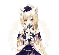 Rule 34 | 1girl, animal ear fluff, animal ears, arknights, black dress, black hat, blonde hair, blue eyes, blush, bouquet, cat ears, covering own mouth, dress, flower, hair flower, hair ornament, hat, heterochromia, highres, holding, holding bouquet, long hair, looking at viewer, meng ziya, mini hat, nightmare (arknights), nightmare (light and shadow) (arknights), off-shoulder dress, off shoulder, official alternate costume, ponytail, red eyes, simple background, solo, straight-on, two-tone dress, white background, white dress, white flower