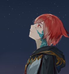 Rule 34 | 1boy, animal ears, cat ears, closed mouth, crystal exarch, final fantasy, final fantasy xiv, from side, g&#039;raha tia, highres, hood, hood down, looking up, lumeru 33, male focus, material growth, night, night sky, profile, red eyes, red hair, robe, short hair, sky, smile, solo, star (sky), starry sky