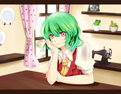 Rule 34 | 1girl, animal ears, ascot, brown dress, cactus, curtains, dress, female focus, green hair, highres, karuna (madlax), kasodani kyouko, kazami yuuka, letterboxed, looking at viewer, photo (object), pink eyes, plant, plate, potted plant, pov across table, sewing machine, shelf, shirt, short hair, sitting, smile, solo, table, touhou, vest, window