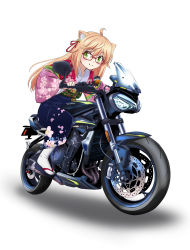 Rule 34 | absurdres, ahoge, animal ears, bell, blonde hair, blue hakama, blush, closed mouth, copyright request, green eyes, hair bell, hair ornament, hair ribbon, hakama, haori, highres, ishii hisao, japanese clothes, jingle bell, long sleeves, looking at viewer, motor vehicle, motorcycle, red-framed eyewear, red ribbon, ribbon, riding, sandals, simple background, smile, tabi, white background