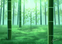 Rule 34 | absurdres, artist name, bamboo, bamboo forest, blurry, blurry background, day, fog, forest, grass, green theme, h yuusui, highres, leaf, light, light rays, nature, no humans, original, outdoors, scenery, signature