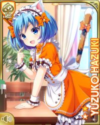 Rule 34 | 1girl, animal ears, apron, blue eyes, blue hair, bow, card (medium), cat ears, cat tail, character name, day, dress, fake animal ears, fake tail, girlfriend (kari), hair bow, hazuki yuzuko, indoors, official art, open mouth, orange bow, orange dress, pointing, pointing at self, qp:flapper, shoes, short hair, smile, solo, standing, tagme, tail, thighhighs, v-shaped eyebrows, white headwear, white thighhighs