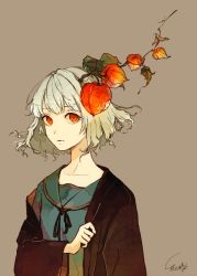 Rule 34 | 1girl, akagi shun, blue shirt, bob cut, branch, brown background, brown jacket, closed mouth, food, fruit, jacket, leaf, long sleeves, looking at viewer, off shoulder, original, red eyes, shirt, short hair, signature, simple background, solo, upper body, white hair