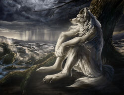 Rule 34 | 1boy, absurdres, animal ears, commentary, commission, completely nude, english commentary, furry, furry male, highres, horns, looking at viewer, male focus, meme, night, night sky, nude, ocean, original, sitting, sitting wolf (meme), sky, solo, tail, tree, waves, werewolf, wolf boy, wolf ears, wolf tail, wolfroad, yellow eyes