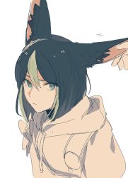 Rule 34 | 1boy, animal ear fluff, animal ears, black hair, blunt ends, grabbing another&#039;s ear, fox boy, fox ears, fox tail, from side, genshin impact, green eyes, green hair, hair between eyes, hand on another&#039;s ear, highres, hood, hoodie, looking at viewer, male focus, multicolored hair, partially colored, pov, short hair, simple background, sketch, solo, streaked hair, tail, tighnari (genshin impact), tonoium, white background
