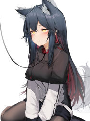 Rule 34 | 1girl, absurdres, afterimage, animal ear fluff, animal ears, arknights, between legs, black capelet, black hair, black pantyhose, black shorts, blush, capelet, closed mouth, collar, colored inner hair, commentary request, ear wiggle, hand between legs, highres, jacket, leash, long hair, long sleeves, motion lines, multicolored hair, pantyhose, red hair, shorts, sidelocks, simple background, sitting, solo, tab head, tail, tail wagging, texas (arknights), two-tone hair, very long hair, wariza, white background, white jacket, wolf ears, wolf girl, wolf tail, yellow eyes
