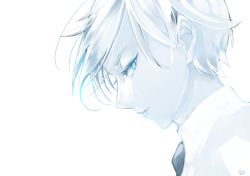 Rule 34 | 10s, androgynous, antarcticite, black necktie, blue eyes, blue theme, close-up, closed mouth, collared shirt, eyelashes, from side, gender request, houseki no kuni, looking at viewer, madori (sayuri5), monochrome, necktie, pale skin, profile, shirt, short hair, simple background, solo, white background, white hair, white shirt