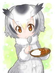 Rule 34 | 10s, 1girl, blonde hair, brown eyes, coat, colored pencil (medium), curry, curry rice, food, frown, fur collar, fur trim, grey coat, hakkatou, head wings, holding, holding spoon, kemono friends, long sleeves, multicolored hair, northern white-faced owl (kemono friends), plate, rice, solo, spoon, traditional media, white hair, wings