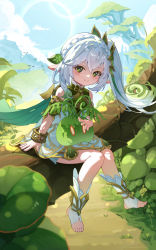 Rule 34 | 1girl, bare shoulders, blue sky, closed mouth, commentary request, day, dress, genshin impact, gradient hair, green eyes, green hair, hair between eyes, highres, in tree, looking at viewer, multicolored hair, nahida (genshin impact), no shoes, outdoors, pointy ears, side ponytail, sitting, sky, sleeveless, sleeveless dress, slime (genshin impact), smile, socks, solo focus, stirrup legwear, toeless legwear, tree, wang man, white dress, white hair, white socks