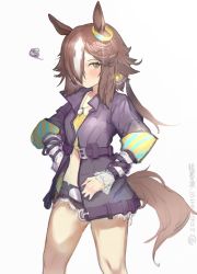 Rule 34 | 1girl, animal ears, black shorts, brown hair, chongmoyu loligogh, commentary request, crop top, cutoffs, feet out of frame, grey eyes, highres, horse ears, jacket, long hair, long sleeves, looking at viewer, midriff, open clothes, open jacket, purple jacket, short shorts, shorts, simple background, solo, standing, tail, thighs, umamusume, vodka (umamusume), white background