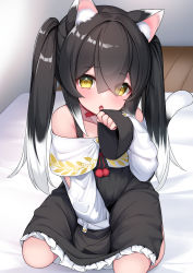 Rule 34 | 1girl, absurdres, animal ears, arm between legs, black dress, black hair, cat ears, cat girl, cat tail, commentary request, dress, hair between eyes, hair over one eye, hand up, hashiko nowoto, highres, licking, licking hand, long sleeves, multicolored hair, on bed, original, seiza, sitting, sleeves past fingers, sleeves past wrists, solo, tail, twintails, two-tone hair, white hair, yellow eyes
