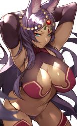 Rule 34 | 1girl, animal ears, arms behind head, arms up, blue eyes, breasts, cleavage, commentary request, dark-skinned female, dark skin, elbow gloves, eyeliner, fate/grand order, fate (series), gloves, hair ornament, highres, jackal ears, jewelry, large breasts, lips, long hair, makeup, navel, parted bangs, purple hair, queen of sheba (fate), seductive smile, shiny skin, simple background, smile, solo, stomach, white background, yoshio (55level)