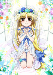 Rule 34 | 1girl, blonde hair, blue panties, blush, breasts, bridal veil, bride, choker, closed mouth, collarbone, dress, eyebrows hidden by hair, fate testarossa, flower, frilled choker, frills, hair flower, hair ornament, highres, long hair, looking at viewer, lyrical nanoha, mahou shoujo lyrical nanoha, mahou shoujo lyrical nanoha a&#039;s, miyajima hitoshi, navel, own hands clasped, own hands together, panties, red eyes, rose, shiny skin, small breasts, smile, solo, underwear, veil, wedding dress