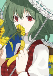Rule 34 | 1girl, breasts, covering face, daisy, female focus, flower, green hair, holding, holding flower, kazami yuuka, kintaro, large breasts, necktie, parasol, plaid, plaid vest, puffy sleeves, red eyes, smelling flower, solo, touhou, umbrella, upper body, vest, yellow necktie