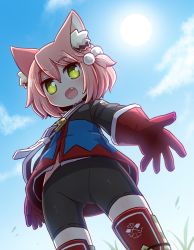 Rule 34 | 1girl, 7th dragon, 7th dragon (series), :d, animal ear fluff, animal ears, belt, belt buckle, bike shorts, black shorts, blue jacket, blue sky, blush, buckle, cat ears, cloud, commentary request, day, fang, fighter (7th dragon), from below, gloves, green eyes, hair between eyes, hair bobbles, hair ornament, harukara (7th dragon), highres, jacket, long sleeves, looking at viewer, looking down, naga u, one side up, open mouth, outdoors, pink hair, red gloves, short shorts, shorts, sky, smile, solo, standing, striped clothes, striped thighhighs, sun, thighhighs, white belt