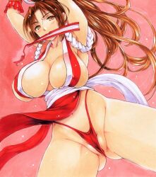Rule 34 | 1girl, breasts, fan, fatal fury, large breasts, ponytail, shiranui mai, solo