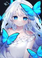 Rule 34 | 1girl, black background, blue butterfly, blue eyes, blush, bug, butterfly, collarbone, dress, frills, highres, insect, long hair, looking at viewer, morino wako, open mouth, original, signature, single bare shoulder, sleeveless, sleeveless dress, very long hair, white dress, white hair