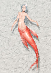 Rule 34 | 1girl, aqua eyes, bad id, bad pixiv id, caustics, completely nude, fish, from above, full body, goldfish, long hair, mermaid, monster girl, no nipples, nucomas, nude, silver hair, smile, solo, submerged, water
