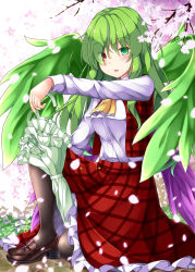 Rule 34 | 1girl, aka tawashi, ascot, black pantyhose, blush, breasts, brown footwear, commentary request, feathered wings, floral background, flower, green eyes, green hair, green wings, heterochromia, high heels, highres, kazami yuuka, kazami yuuka (pc-98), loafers, long hair, long sleeves, looking at viewer, medium breasts, on one knee, pantyhose, parted lips, petals, petticoat, pink flower, plaid, plaid skirt, plaid vest, red eyes, red skirt, red vest, shirt, shoes, skirt, solo, touhou, touhou (pc-98), umbrella, vest, white shirt, wings, yellow ascot
