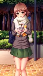 Rule 34 | 1girl, antenna hair, bag, blush, brown eyes, brown hair, cardigan, day, doukyuusei another world, floating hair, game cg, green skirt, grey cardigan, hair between eyes, kakyuusei, long hair, long sleeves, looking at viewer, miniskirt, mochida mahoko, official art, open mouth, outdoors, pleated skirt, scarf, school bag, school uniform, skirt, solo, standing, valentine, white scarf