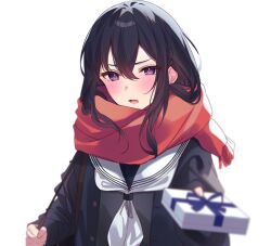 Rule 34 | 1girl, bag, black hair, blue coat, blue eyes, blurry, blurry foreground, blush, box, braid, coat, crossed bangs, gift, gift box, grey shirt, hair between eyes, hikari yui, holding, holding gift, holding strap, ichinose uruha, incoming gift, long hair, lupinus virtual games, neckerchief, open clothes, open coat, open mouth, red scarf, sailor collar, scarf, school bag, school uniform, shirt, simple background, sleeves past wrists, solo, virtual youtuber, vspo!, white background, white neckerchief, white sailor collar