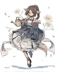 Rule 34 | 1girl, animal ears, arknights, bow, brown eyes, brown hair, closed mouth, commentary, dress, flower, fox ears, fox girl, fox tail, full body, fur-trimmed jacket, fur trim, hair bow, highres, holding, holding watering can, jacket, long sleeves, nataro 1116, open clothes, open jacket, perfumer (arknights), petals, ponytail, simple background, sketch, solo, tail, watering can, white background, white flower
