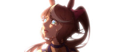 Rule 34 | 2girls, absurdres, animal ears, backlighting, blue choker, brown hair, chinese commentary, choker, commentary request, crying, crying with eyes open, eye reflection, highres, hiroto xiangshaozhu, horse ears, horse girl, long hair, looking to the side, mixed-language commentary, multiple girls, open mouth, partial commentary, ponytail, reflection, simple background, solo focus, starting future (umamusume), tears, tokai teio (umamusume), twin turbo (umamusume), umamusume, white background, wide-eyed