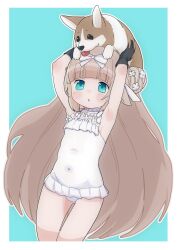 Rule 34 | .live, 1girl, :o, akichi 360, animal, animal ears, animal on head, arched bangs, armpits, arms up, black gloves, blue background, blue eyes, border, bow, breasts, brown hair, choker, covered navel, dog, dog on head, frilled choker, frilled one-piece swimsuit, frills, gloves, hair bow, hair bun, highres, holding, holding animal, holding dog, long hair, looking at viewer, merry milk, on head, one-piece swimsuit, outline, sheep ears, single side bun, small breasts, solo, swimsuit, very long hair, virtual youtuber, welsh corgi, white border, white bow, white choker, white one-piece swimsuit, white outline