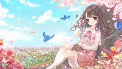 Rule 34 | 1girl, absurdres, animal, animal on lap, bird, blue sky, bluebird, blush, brown eyes, brown hair, bug, butterfly, cat, cat on lap, cherry blossoms, closed mouth, cloud, collarbone, commission, danby merong, day, dress, flower, head tilt, highres, insect, kneehighs, long hair, long sleeves, looking at viewer, on lap, original, outdoors, pink dress, red flower, sitting, sky, smile, socks, solo, spring (season), tree, white socks