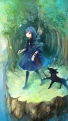 Rule 34 | 1girl, bad id, bad pixiv id, blue eyes, blue hair, cliff, dhiea, dog, pet walking, female focus, flower, forest, highres, hood, looking up, matching hair/eyes, nature, outdoors, pantyhose, rein (sound horizon), rose, shawl, short hair, solo, sound horizon