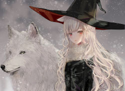 Rule 34 | 1girl, animal, black hat, black jacket, blush, braid, chiemo (xcem), curly hair, french braid, fur collar, fur trim, hair flaps, hat, highres, jacket, long hair, original, parted lips, red eyes, snow, snowing, solo, upper body, white hair, witch hat, wolf