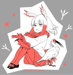 Rule 34 | 10s, 1girl, :o, animal, bird, blunt bangs, blush, colored skin, crested ibis, eyelashes, full body, gloves, gradient hair, grey background, hand on own chest, head wings, japanese crested ibis (kemono friends), kemono friends, ko-on (ningen zoo), legs together, long sleeves, mary janes, multicolored hair, music, open hand, open mouth, outline, pantyhose, partially colored, paw print, paw print background, pleated skirt, red gloves, red pantyhose, shoes, short hair, short hair with long locks, sidelocks, singing, sitting, skirt, star (symbol), starry background, teeth, twitter username, white hair, white outline, white skin, wide sleeves, wings