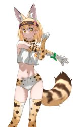 Rule 34 | 1girl, absurdres, adapted costume, animal ear fluff, animal ears, bare shoulders, blonde hair, blush, bow, bowtie, buruma, cat ears, cat girl, cat tail, closed mouth, commentary request, cowboy shot, crop top, dot mouth, elbow gloves, extra ears, gloves, headband, highres, japari symbol, kemono friends, looking at viewer, print bow, print bowtie, print buruma, print gloves, print shirt, print thighhighs, serval (kemono friends), serval print, shirt, short hair, sleeveless, solo, stretching, tail, tanabe (fueisei), thighhighs, white shirt, yellow eyes, zettai ryouiki