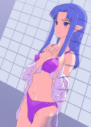 Rule 34 | 00s, 1girl, blue eyes, blue hair, blush, bra, braid, medea (fate), dress shirt, elf, fate/stay night, fate (series), lingerie, matching hair/eyes, open clothes, open shirt, panties, pointy ears, purple bra, purple panties, shinama, shirt, solo, underwear, underwear only