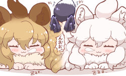 Rule 34 | 3girls, :3, ^^^, animal ear fluff, animal ears, big hair, brown hair, chibi, closed eyes, closed mouth, commentary request, facing viewer, fluffy, fox ears, fox tail, fur collar, hair between eyes, kemono friends, light brown hair, lion (kemono friends), lion ears, lying, multicolored hair, multiple girls, nose bubble, on stomach, side-by-side, silver fox (kemono friends), sleeping, tail, tanaka kusao, translation request, trembling, two-tone hair, white hair, white lion (kemono friends), zzz