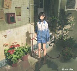 Rule 34 | 1girl, air conditioner, barefoot, black eyes, black hair, blue shorts, bracelet, chinese text, flower, flower pot, full body, highres, holding, holding hose, hose, jersey, jewelry, looking at viewer, motor vehicle, original, p3ach0520, parted lips, scooter, shirt, short hair, shorts, solo, standing, twitter username, white shirt