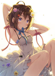 Rule 34 | 1girl, ahoge, arms up, backlighting, bang dream!, blue ribbon, blush, breasts, brown hair, cleavage, commentary request, cone hair bun, dress, feet out of frame, flower, frilled dress, frills, hair between eyes, hair bun, hair flower, hair intakes, hair ornament, knees up, looking at viewer, medium breasts, mouth hold, purple eyes, purple flower, red ribbon, ribbon, ribbon in mouth, simple background, sitting, solo, star (symbol), star hair ornament, tomo wakui, toyama kasumi, white background, white dress, white flower, yellow flower