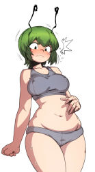 Rule 34 | 1girl, ^^^, antennae, blush, breasts, full-face blush, green hair, large breasts, navel, panties, plump, short hair, solo, spacezin, sports bra, sweat, tears, thighs, touhou, underwear, underwear only, wavy mouth, weight conscious, wide hips, wriggle nightbug