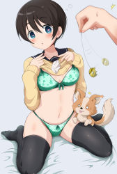 Rule 34 | 1girl, 1other, absurdres, black hair, black thighhighs, blue eyes, blush, bow, bow bra, bow panties, bra, breasts, chihuahua, chikuwa (yurucamp), cleavage, clothes lift, collarbone, dog, eggman (pixiv28975023), green bra, green panties, groin, heart, heart-shaped pupils, highres, hypnosis, lifting own clothes, lingerie, looking at viewer, medium breasts, mind control, navel, necktie, open mouth, panties, saitou ena, school uniform, shirt lift, short hair, simple background, symbol-shaped pupils, thighhighs, underwear, white background, yurucamp