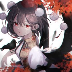 Rule 34 | 1girl, animal, bird, black hair, crow, falling feathers, feathers, hair between eyes, hat, highres, leaf, looking at viewer, maple leaf, open mouth, pom pom (clothes), red eyes, red hat, rokuya (68 zusao), shameimaru aya, shirt, short hair, short sleeves, signature, solo, tokin hat, touhou, white shirt