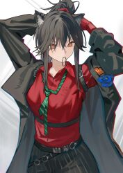 Rule 34 | 1girl, absurdres, adjusting hair, alternate hairstyle, animal ears, arknights, black coat, breasts, chromatic aberration, coat, collared shirt, commentary, empty eyes, gloves, gradient background, grey background, hair tie, hair tie in mouth, harness, highres, krin (krinnin), looking to the side, medium breasts, mouth hold, official alternate costume, orange eyes, pants, red gloves, red shirt, shirt, sidelocks, simple background, solo, striped clothes, striped pants, texas (arknights), texas (willpower) (arknights), tying hair, white background, wolf ears, wolf girl