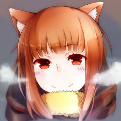 Rule 34 | 1girl, animal ears, black row, breath, brown hair, colorized, holo, long hair, looking at viewer, portrait, red eyes, scarf, smile, solo, spice and wolf, vector trace, winter clothes, wolf ears