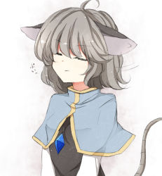 Rule 34 | 1girl, animal ears, bad id, bad pixiv id, closed eyes, female focus, fuuen (akagaminanoka), grey hair, mouse ears, mouse tail, nazrin, simple background, solo, tail, touhou, white background