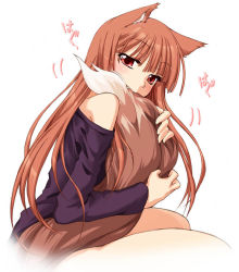 Rule 34 | 00s, 1girl, animal ears, bare shoulders, biting, biting own tail, brown eyes, brown hair, fang, holo, hugging own tail, hugging tail, long hair, long sleeves, ndemotte, off shoulder, red eyes, shirt, solo, spice and wolf, tail, tail biting, tail fondling, thighs, wolf ears, wolf tail