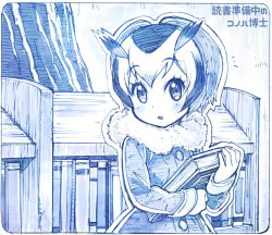 Rule 34 | 10s, 1girl, :o, blue theme, blush, book, bookshelf, coat, fur collar, head wings, holding, holding book, indoors, kemono friends, long sleeves, looking at viewer, monochrome, multicolored hair, northern white-faced owl (kemono friends), parted lips, sakino shingetsu, short hair, solo, translation request, upper body, wings