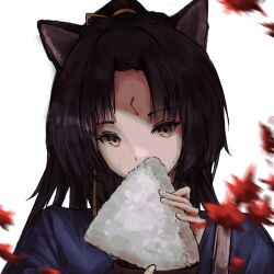 Rule 34 | 1girl, animal ears, arknights, black hair, blurry, close-up, commentary, covered mouth, dog ears, dog girl, facial mark, fingernails, food, food on face, forehead mark, hair ribbon, hand up, highres, holding, holding food, komegu 619, leaf, long hair, looking at viewer, motion blur, portrait, ribbon, rice, rice on face, saga (arknights), simple background, solo, white background, yellow eyes, yellow ribbon