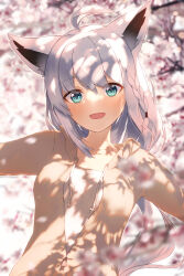 Rule 34 | 1girl, ahoge, animal ear fluff, animal ears, blurry, blurry background, blurry foreground, blush, braid, breasts, cherry blossoms, commentary request, earrings, fox ears, fox girl, green eyes, hair between eyes, highres, hololive, hood, hoodie, jewelry, long hair, looking at viewer, open mouth, outstretched arms, shirai yu, shirakami fubuki, shirakami fubuki (street), shirt, sidelocks, single braid, small breasts, solo, virtual youtuber, white hair, white shirt, yellow hoodie