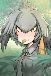 Rule 34 | 10s, 1girl, blush, breasts, camera, collared shirt, eating, feathers, food in mouth, frog, green hair, grey necktie, grey shirt, hair between eyes, head wings, kemono friends, leaf, looking at viewer, nature, necktie, outdoors, shiming liangjing, shirt, shoebill (kemono friends), side ponytail, solo, solo focus, staring, sweatdrop, twintails, upper body, wings, yellow eyes