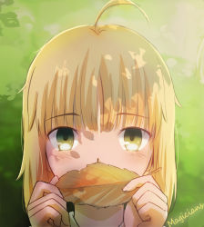 Rule 34 | 1girl, ahoge, artoria pendragon (fate), bad id, bad pixiv id, blonde hair, blush, fate/stay night, fate (series), green eyes, leaf, looking at viewer, magicians (zhkahogigzkh), saber (fate), short hair, solo